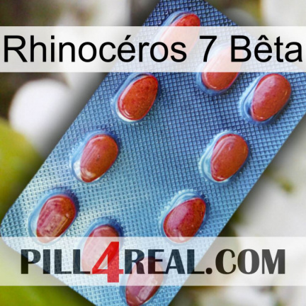 Rhinocéros 7 Bêta 06